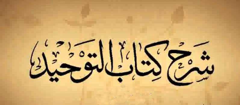 باب من تبرك بشجر أو حجر ونحوهما